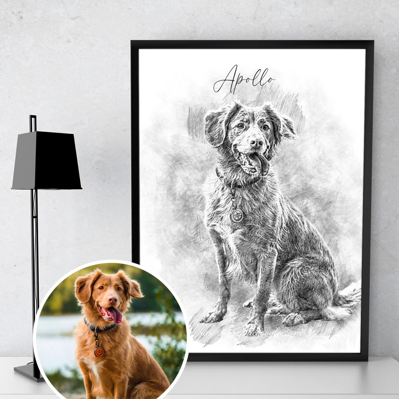 Pet pencil portraits, including dogs, cats or any pet you have